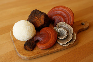  A wooden cutting board displaying medicinal mushrooms including Lion’s Mane, Chaga, Reishi, and Turkey Tail, arranged together on a warm wood surface.